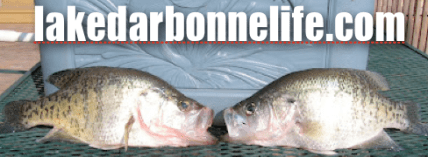 Screen Shot 2017-02-22 at 2.42.28 PM