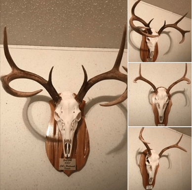 Screen Shot 2017-11-27 at 11.19.49 AM