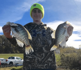 Screen Shot 2017-12-09 at 2.26.41 PM