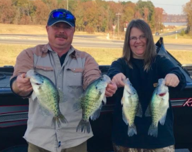 Screen Shot 2017-12-09 at 2.27.02 PM