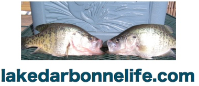 Screen Shot 2017-11-27 at 8.03.19 PM