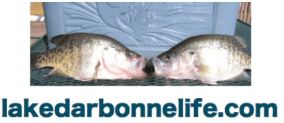 Screen Shot 2017-11-27 at 8.03.19 PM