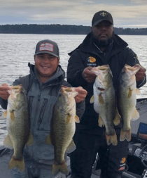 Screen Shot 2018-02-12 at 8.11.48 PM