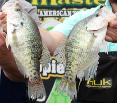 Screen Shot 2018-02-26 at 8.54.19 PM