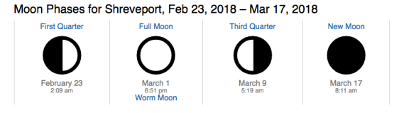 Screen Shot 2018-02-26 at 9.19.06 PM