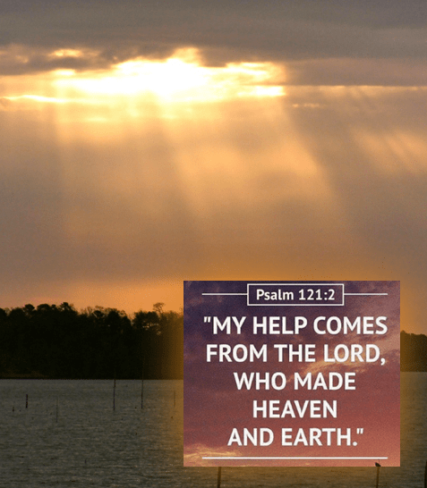 Screen Shot 2018-04-15 at 9.44.44 PM