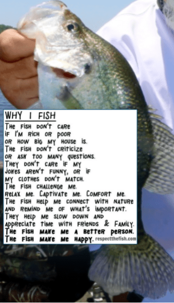 Screen Shot 2018-04-17 at 11.49.22 AM