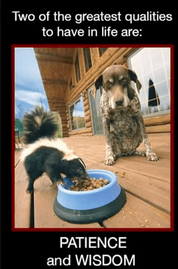 Screen Shot 2018-04-23 at 8.54.37 PM