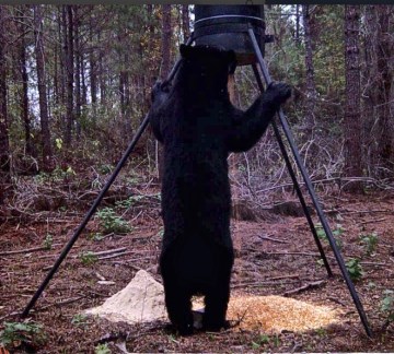 Screen Shot 2018-05-14 at 8.49.32 PM