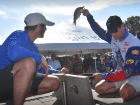 Screen Shot 2018-06-23 at 10.17.46 PM