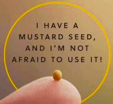 Screen Shot 2018-05-17 at 10.26.25 AM