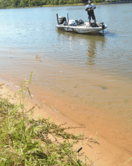 Screen Shot 2018-07-08 at 1.00.35 PM