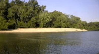 Screen Shot 2018-07-08 at 1.04.29 PM