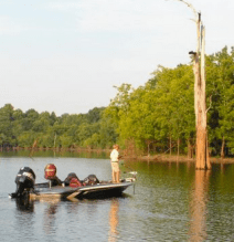 Screen Shot 2018-07-08 at 1.13.20 PM