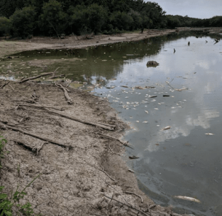 Screen Shot 2018-07-16 at 6.20.39 PM