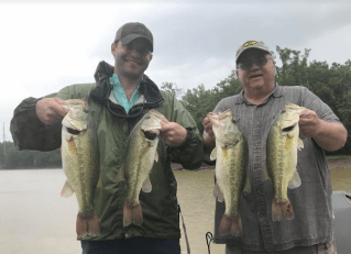 Screen Shot 2018-07-17 at 8.05.25 PM