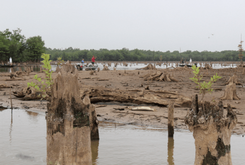 Screen Shot 2018-07-19 at 9.31.56 AM