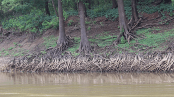 Screen Shot 2018-07-19 at 9.37.03 AM