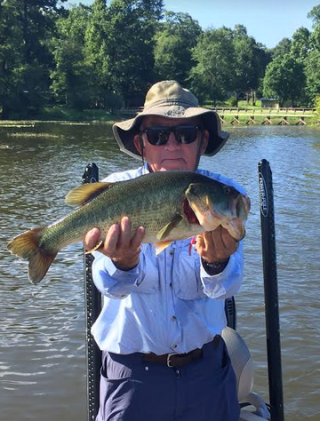 Screen Shot 2018-08-01 at 9.39.48 PM