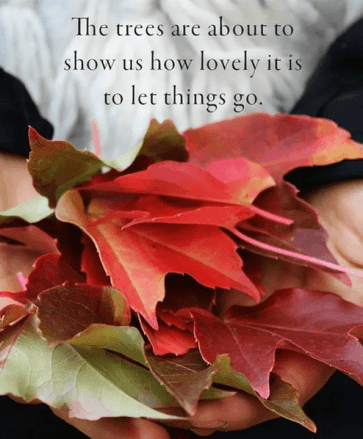 Screen Shot 2018-08-23 at 9.36.09 PM