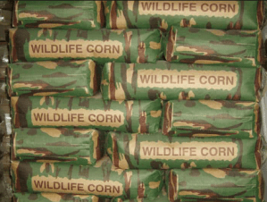 Screen Shot 2018-10-03 at 6.46.28 PM