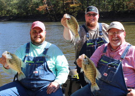 Screen Shot 2018-11-06 at 3.52.12 PM