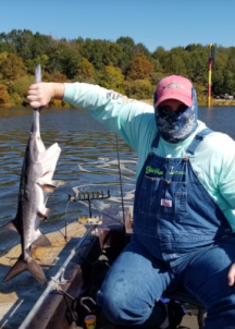 Screen Shot 2018-11-06 at 8.41.11 PM