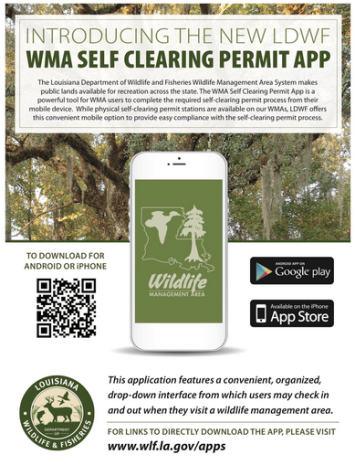 Screen Shot 2018-11-07 at 9.19.51 AM