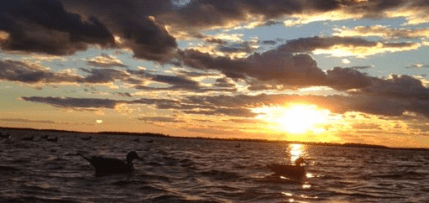 Screen Shot 2018-11-18 at 7.18.23 PM